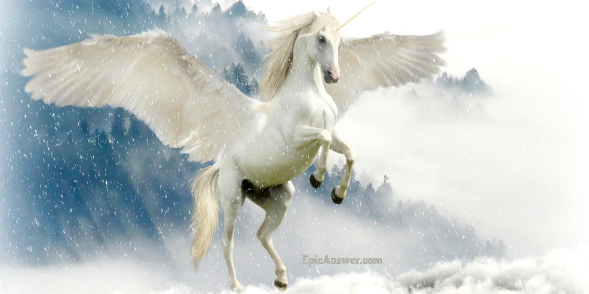 The Perfect Business Unicorn